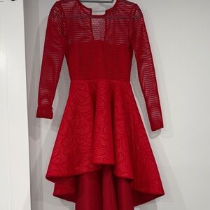 Issue New York Scarlet Mesh High Low Dress